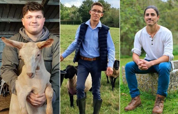 Here are the faces and backgrounds of the three Charente farmers competing in the Mister France Agricole competition