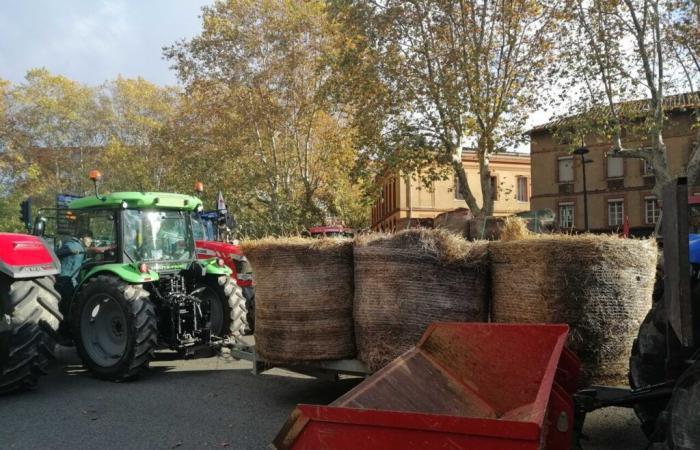 where farmers will gather in Haute-Garonne