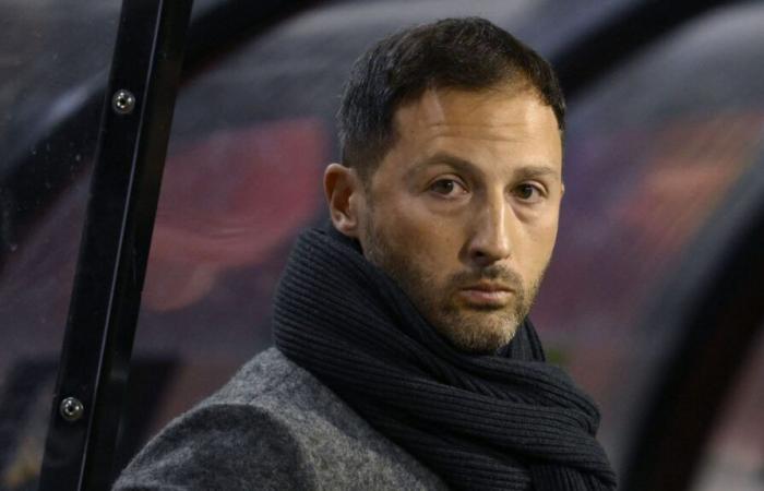 Israel – Belgium: ‘Domenico Tedesco has lost all legitimacy with the players’