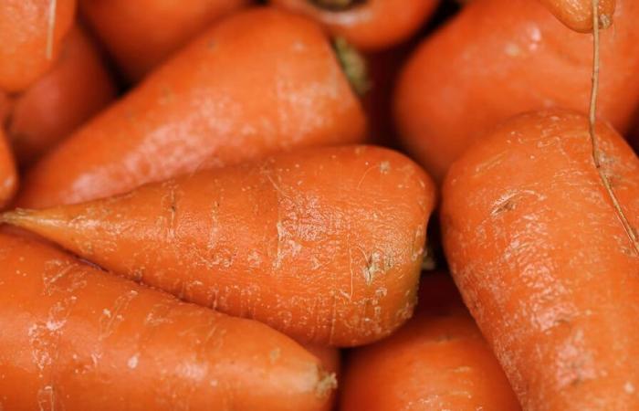 E. coli bacteria: urgent recall of organic carrots after death in the United States