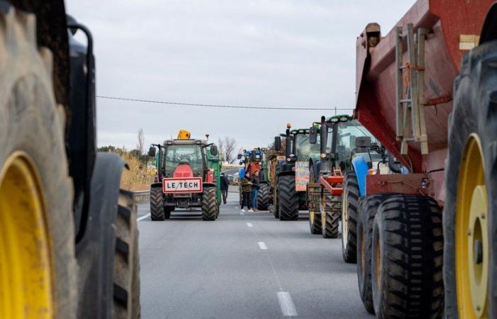 Angry farmers: before the blocking of the A9 motorway and the Spanish border, “85 demonstration points” from Var to Calvados