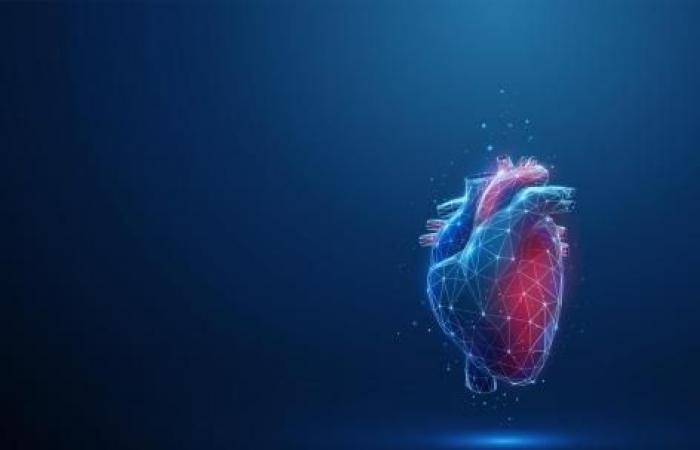 Can heart shape predict cardiovascular risk?