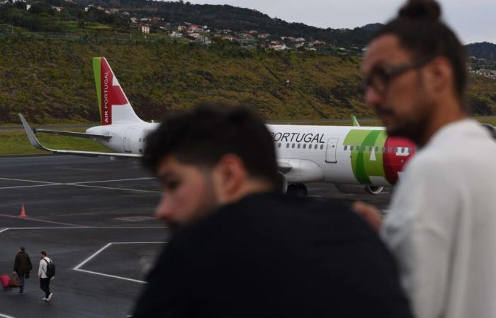 Airbus grounded after 132 hamsters escape