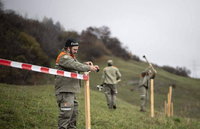 Russian Putin critics demonstrate in Switzerland