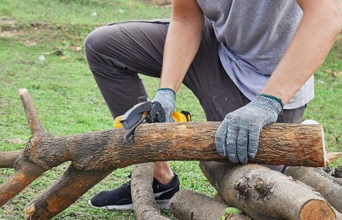 Go for it: this mini chainsaw has an insane price for a few days on Amazon