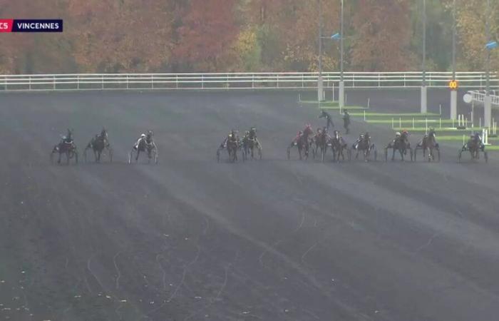 PRIX DE CASSIS – PARIS-VINCENNES – 11/18/2024: starters, predictions and results in videos – Race 5