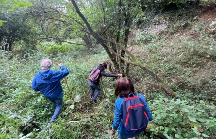 A man dead for several weeks discovered in Saint-Hilaire-sur-Helpe