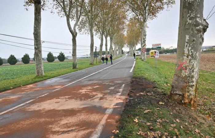 “He had just celebrated his birthday”: who were the five victims of the road tragedy in Gaillac?