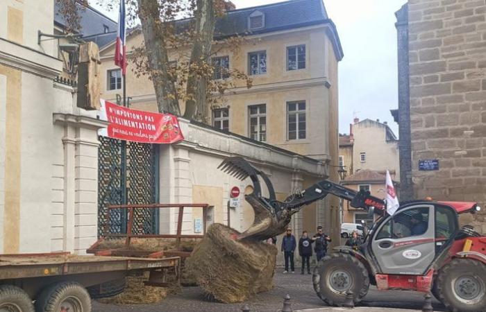 Anger of farmers: “It’s heartbreaking”, “Stop agricide”, Lot farmers in the street