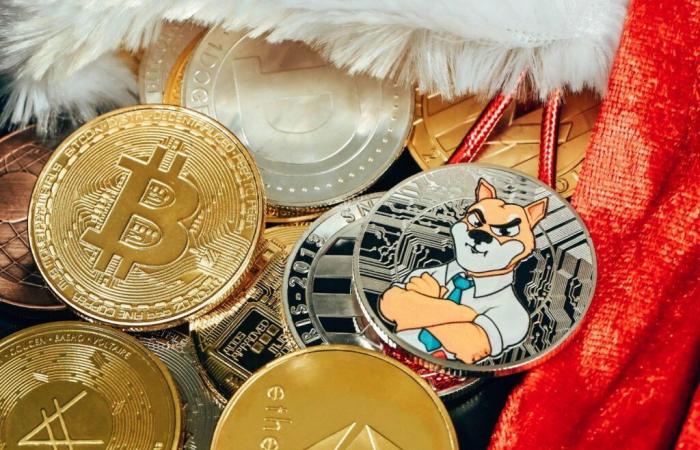 What future for memecoins with bitcoin at the highest price?