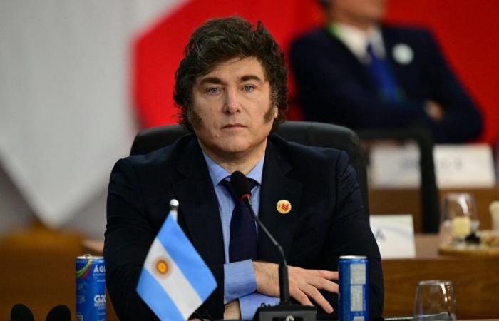 Diplomacy: Javier Milei partly rejects G20 final declaration