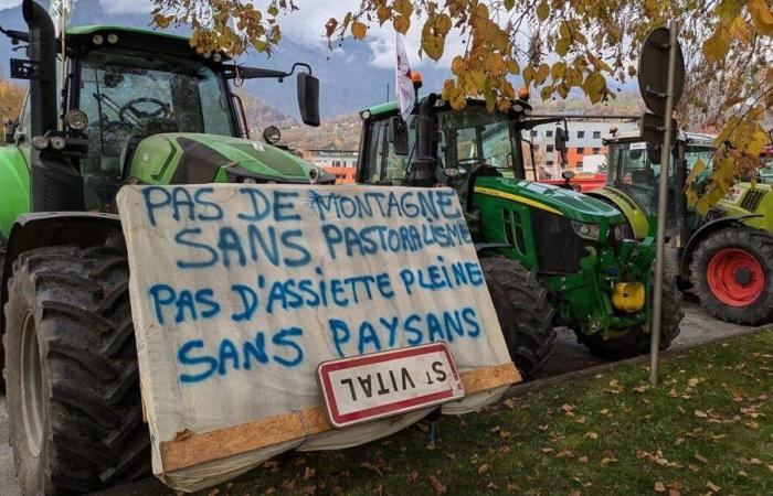 Agricultural crisis: tarpaulins and a first gathering of farmers in Savoie and Haute-Savoie this Monday