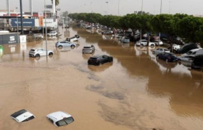 Floods in Spain: the strong hand of Morocco hailed