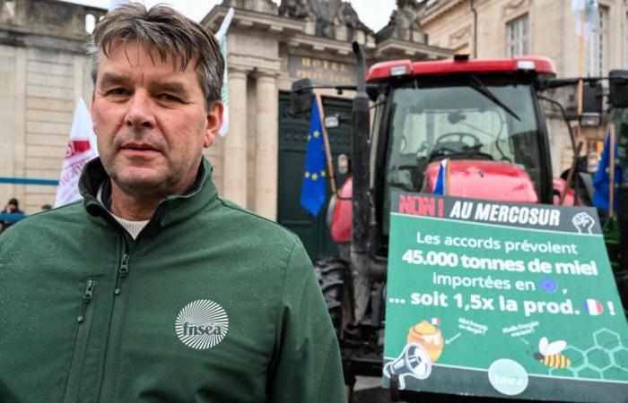 France: farmers against the agreement with Mercosur