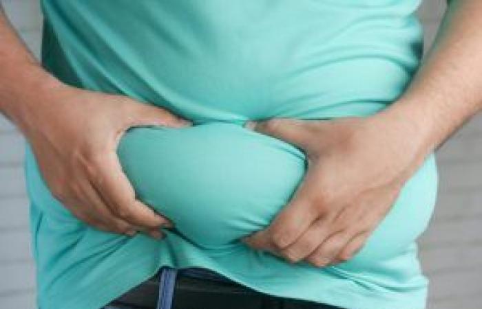 Discovery in Toulouse: Brown fat, a hope in the fight against obesity