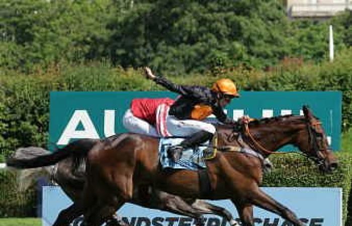 Gran Diose achieves the double Grand Steeple-Chase de Paris – Prix La Haye Jousselin – Jumping