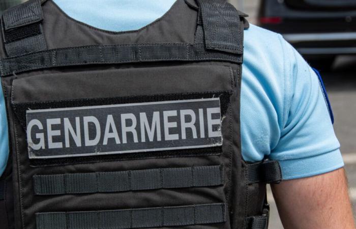 a 17-year-old teenager shot dead after a brawl in the city center of Rumilly