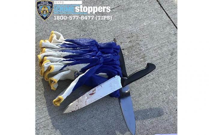 New York | Two dead and one injured in knife attack, suspect arrested