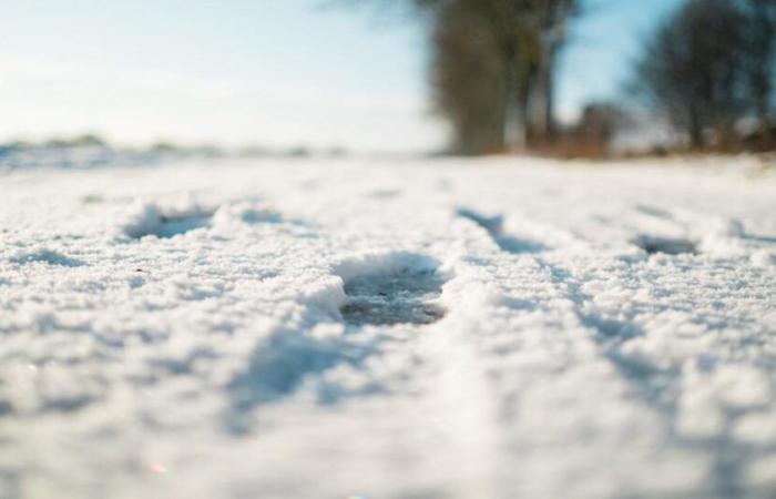 Drop in temperatures: sudden onset of winter on Wednesday