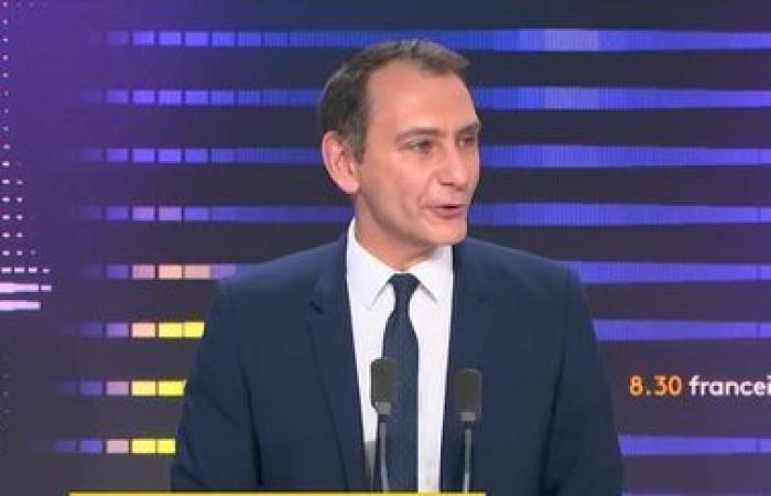 Emmanuel Macron “does not have the power to stop” the agreement between the EU and Mercosur, according to Laurent Jacobelli, spokesperson for the RN