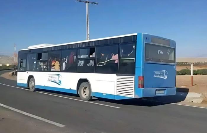 Taza.. Residents of the Al-Wefaq district demand a third bus to improve urban transport (photo)