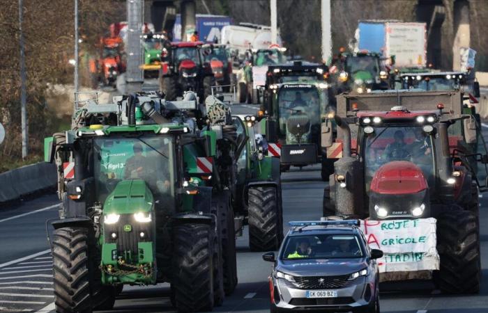 Anger of the farmers. Tractors will make their return to the metropolis of Bordeaux