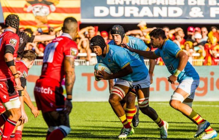 Top 14: Marvin Orie operated on, returns for Toulouse, Bruce Devaux close to recovery… The latest news from the USAP infirmary