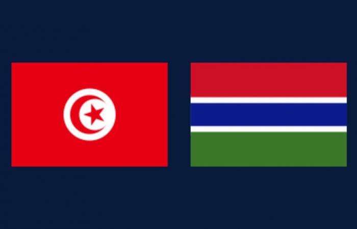 Gambia: At what time and on which channel to watch the match this Monday?