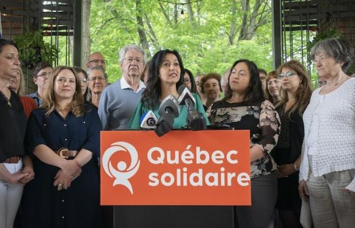 Christine Labrie is no longer the female co-spokesperson for QS