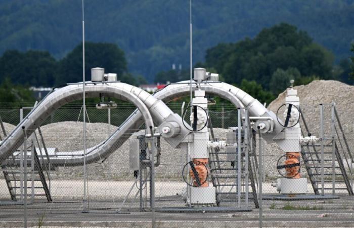 Russian gas flows to Europe stable despite dispute with Austria