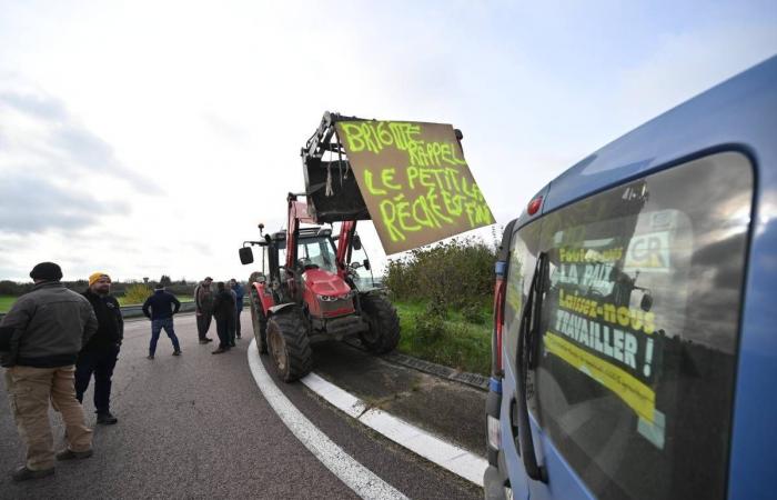 First action by angry farmers in Nièvre, reimbursement for medicines will drop… News to remember from this Monday