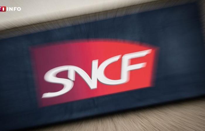 Strike at the SNCF: what the railway workers are really demanding