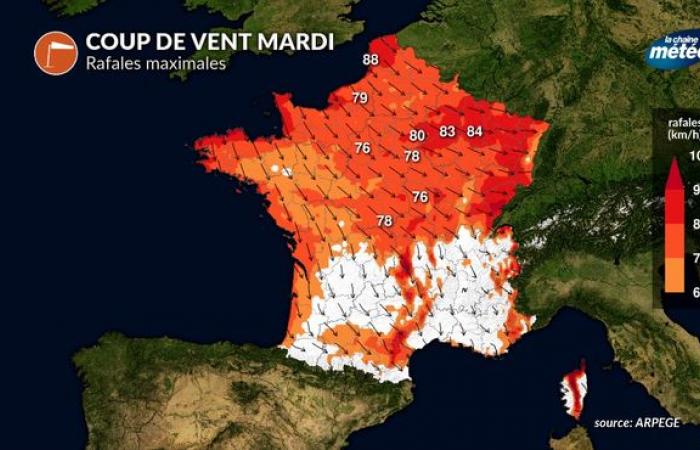 Weather of the week: day-to-day details of the hustle and bustle