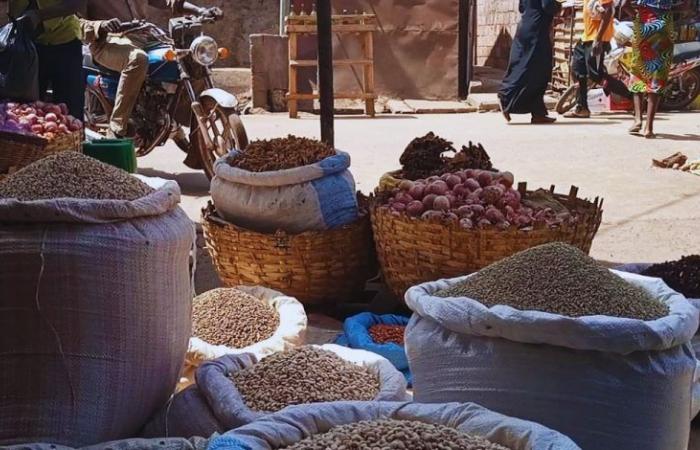 A solution to stabilize food prices in Africa