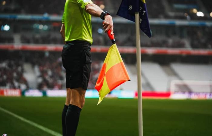 Ligue 1 – D12: A referee who does not succeed at Les Dogues for LOSC – Stade Rennais