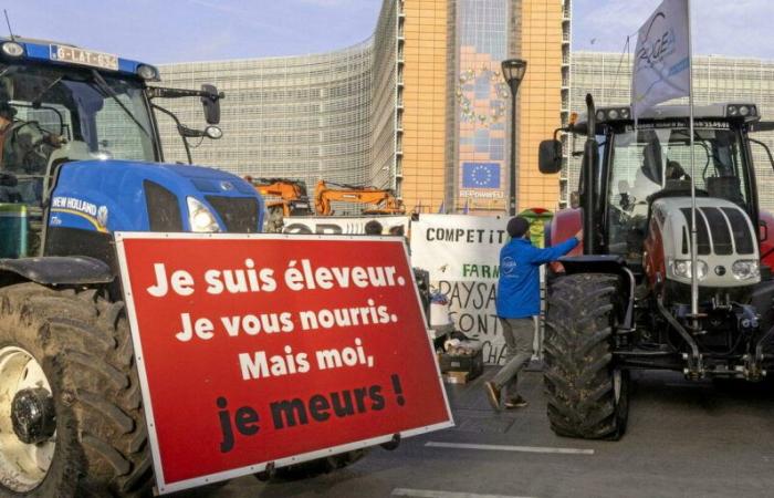 “The agreement between the EU and Mercosur is not the problem of French agriculture”