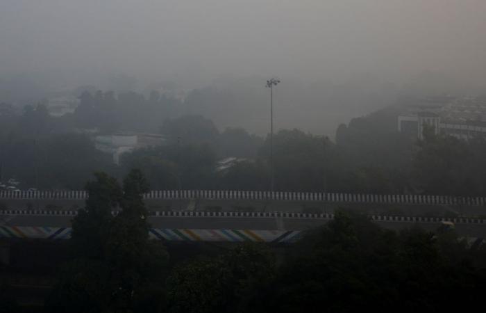 India | Majority of New Delhi schools closed due to pollution