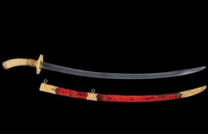 The incredible fate of a sword discovered in Côte-d'Or: it has just been sold at auction for 370,000 euros