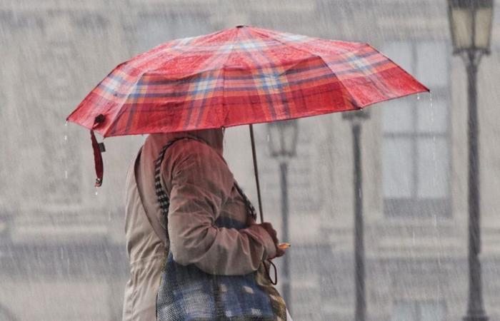 Weather forecast: IRM issues yellow alert for heavy rain in several Walloon provinces