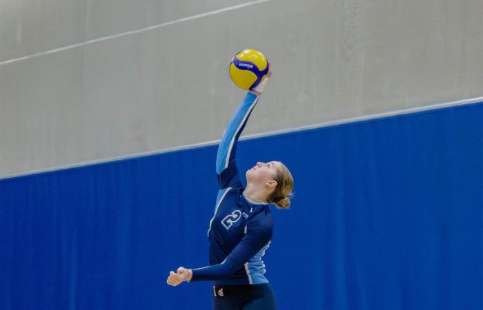 Volleyball: three consecutive victories for the Citadins