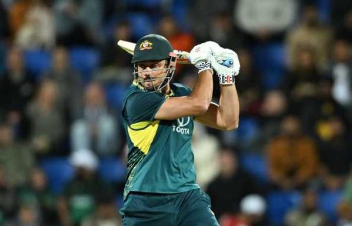 Hardie, Zampa and Stoinis set up clinical win