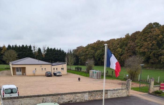 A wild boar tumbles in front of the village hall of a village in Calvados