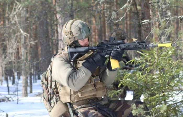 Sweden and Finland provide advice to the population in the event of armed conflict