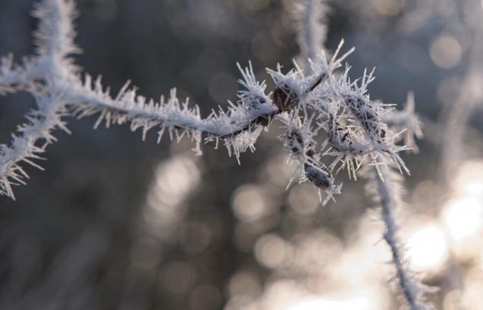 Cold offensive, snow in the plains… What the winter weather has in store for this week