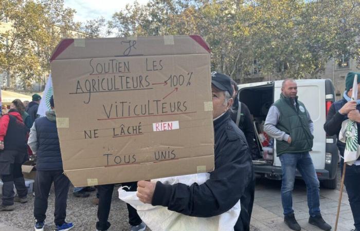 Hérault farmers want more than aid