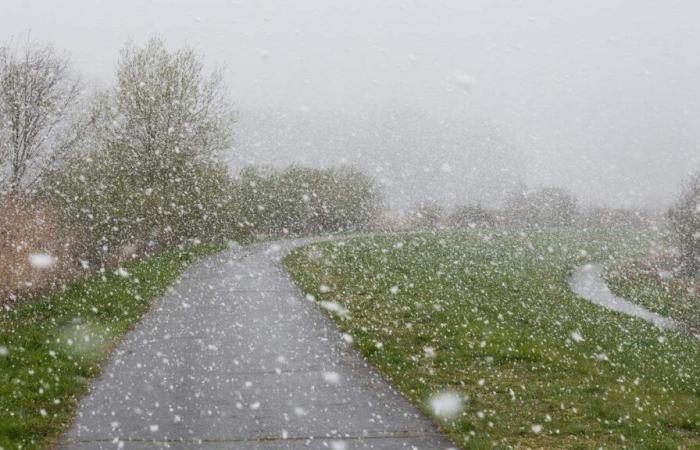 Strong gusts of wind in addition to snow: Luxembourg on yellow alert this Tuesday