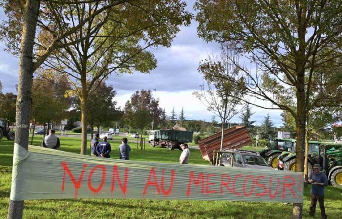 Anger of farmers: “We will use the necessary means, too bad for the consequences”, dozens of tractors reached the Gers prefecture