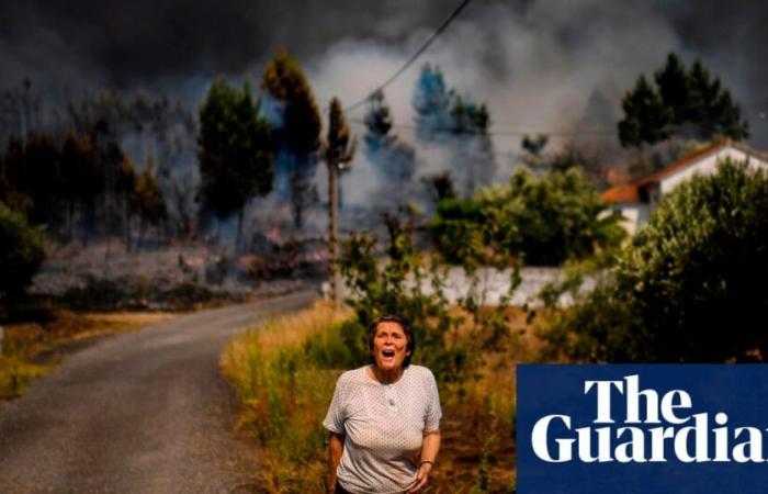 Climate crisis to blame for dozens of ‘impossible’ heatwaves, studies reveal | Climate crisis