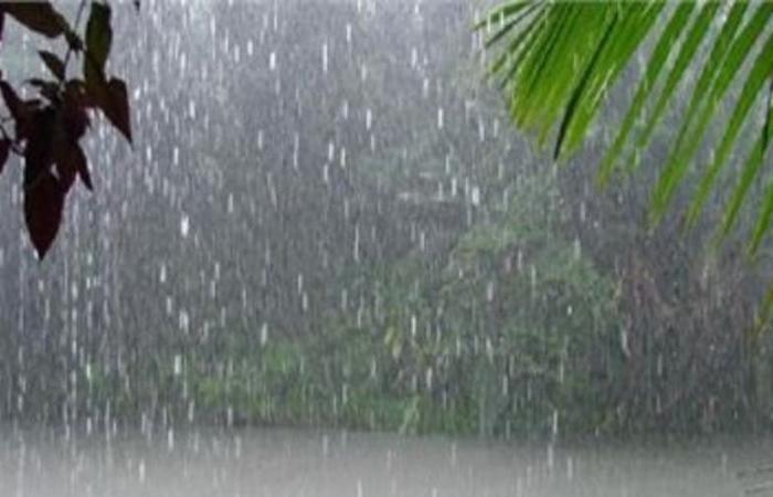 Today’s weather: rain showers are expected in several regions