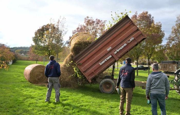 Anger of farmers: “We will use the necessary means, too bad for the consequences”, dozens of tractors reached the Gers prefecture